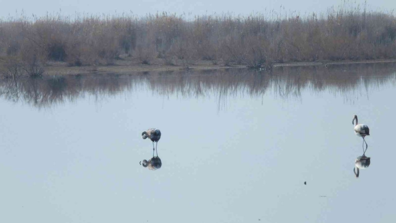 Beyşehir Gölü’nde kış ortası su sayımı tamamlandı