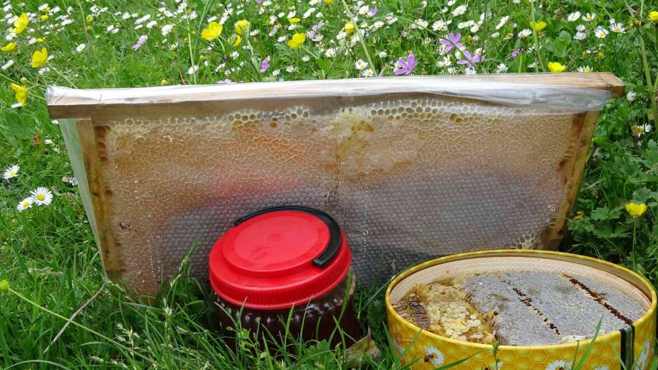 Ordu’dan 2022 yılında 773 ton bal ihraç edildi