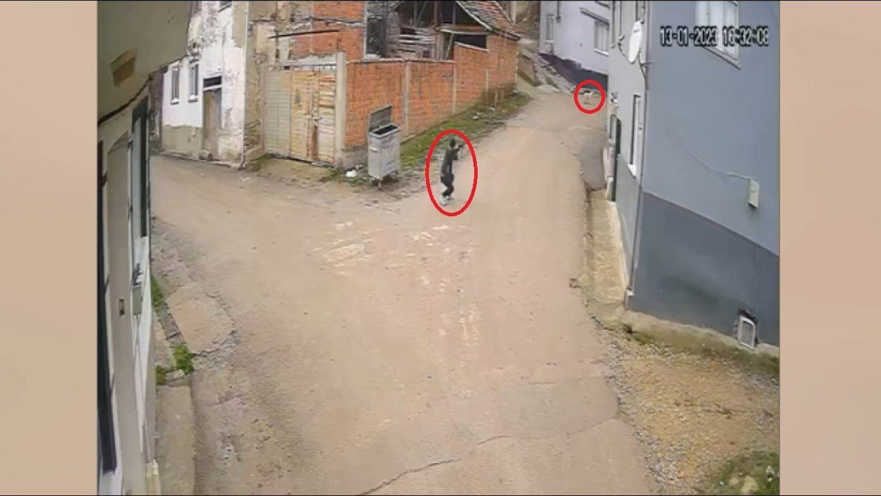 Bir köpeği daha vurmuş