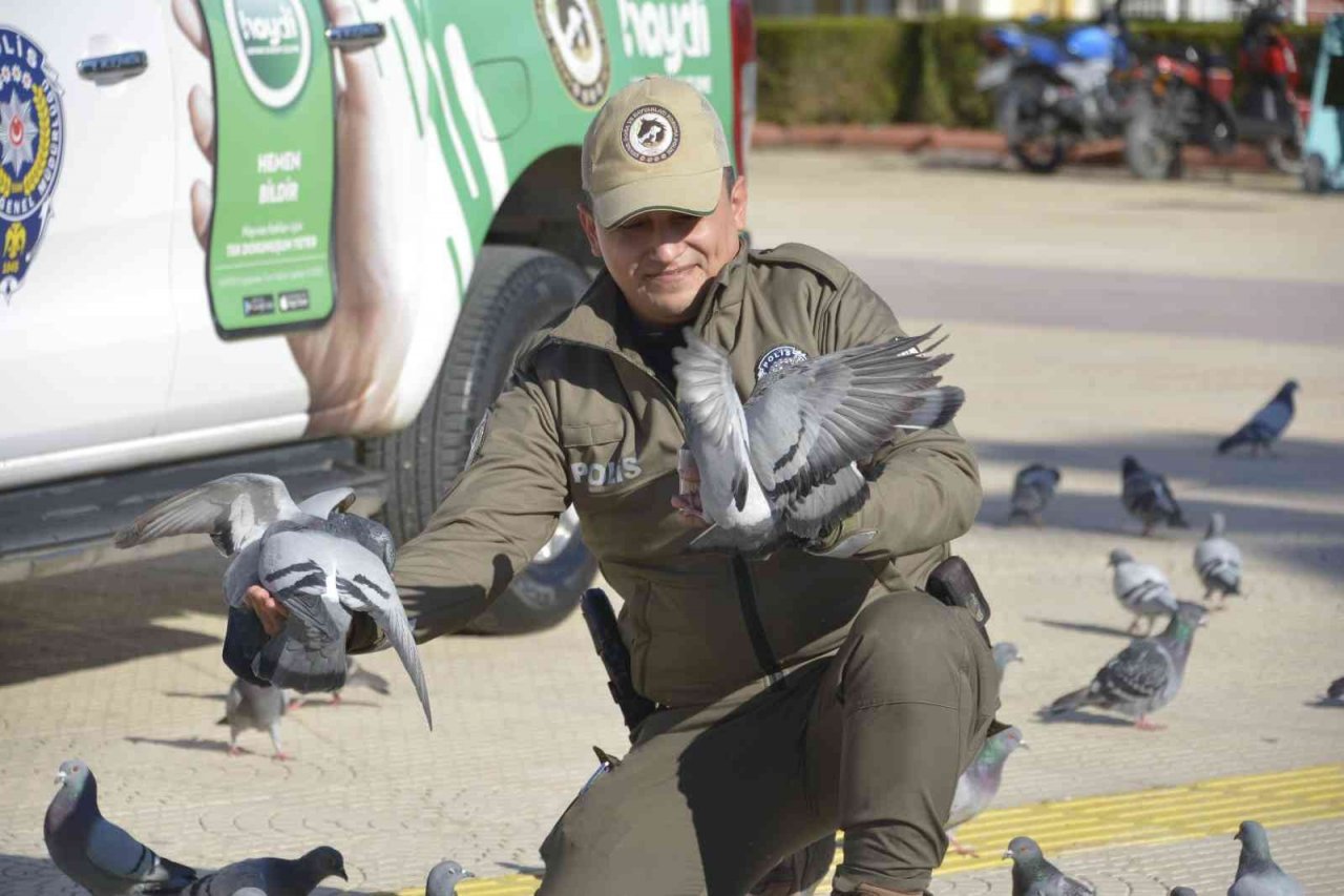 Adana’da 132 yasaklı ırk köpeğe el konuldu