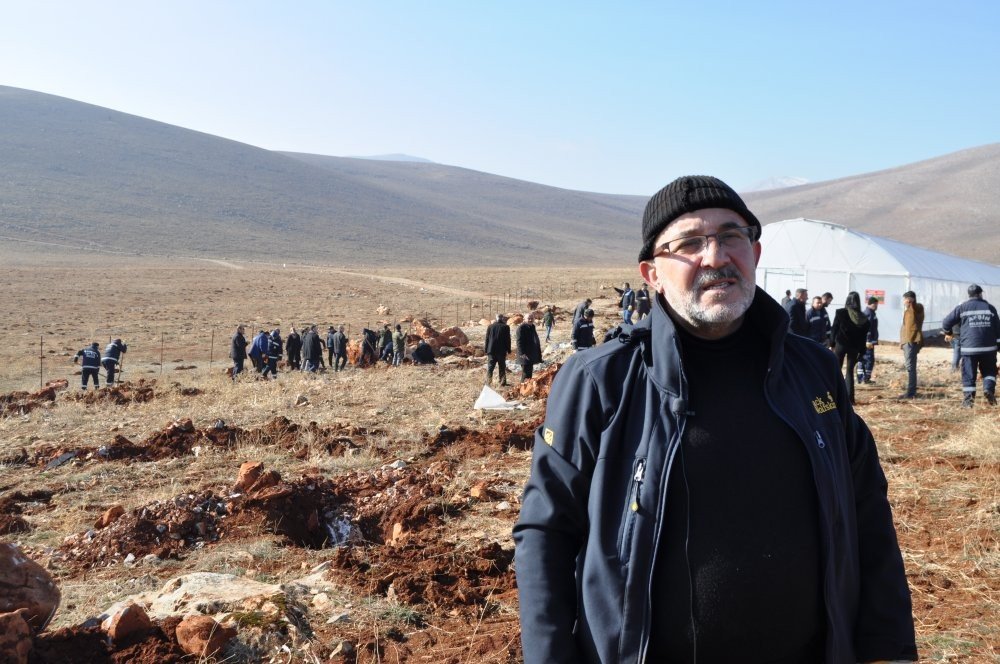 Hedef arıcılıkta verimi artırmak: Lavanta tarlasına bin adet alıç fidanı dikildi