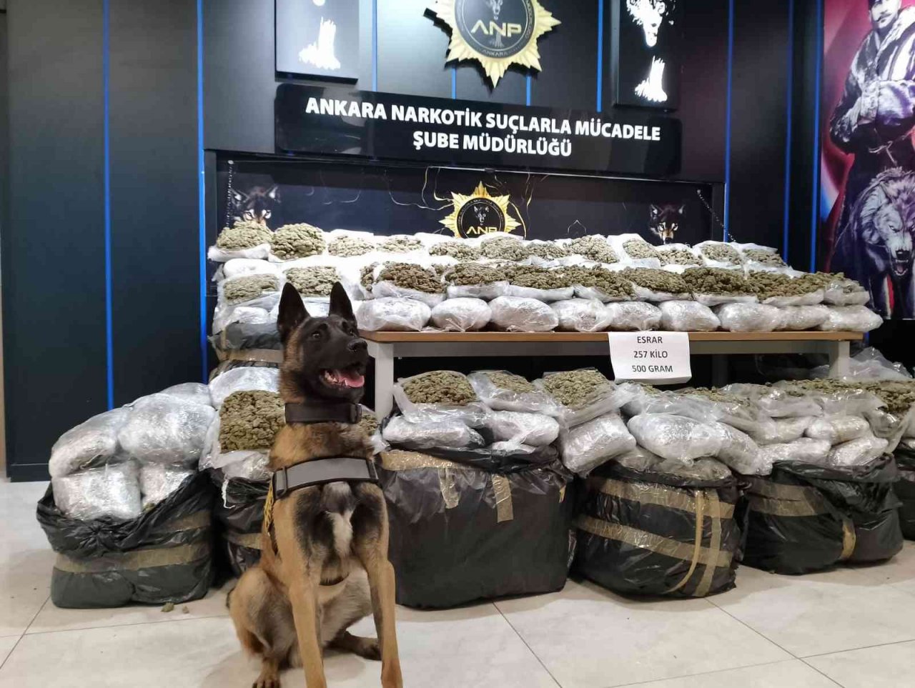 Başkent’te yapılan operasyonda 257 kilo 500 gram esrar ele geçirildi