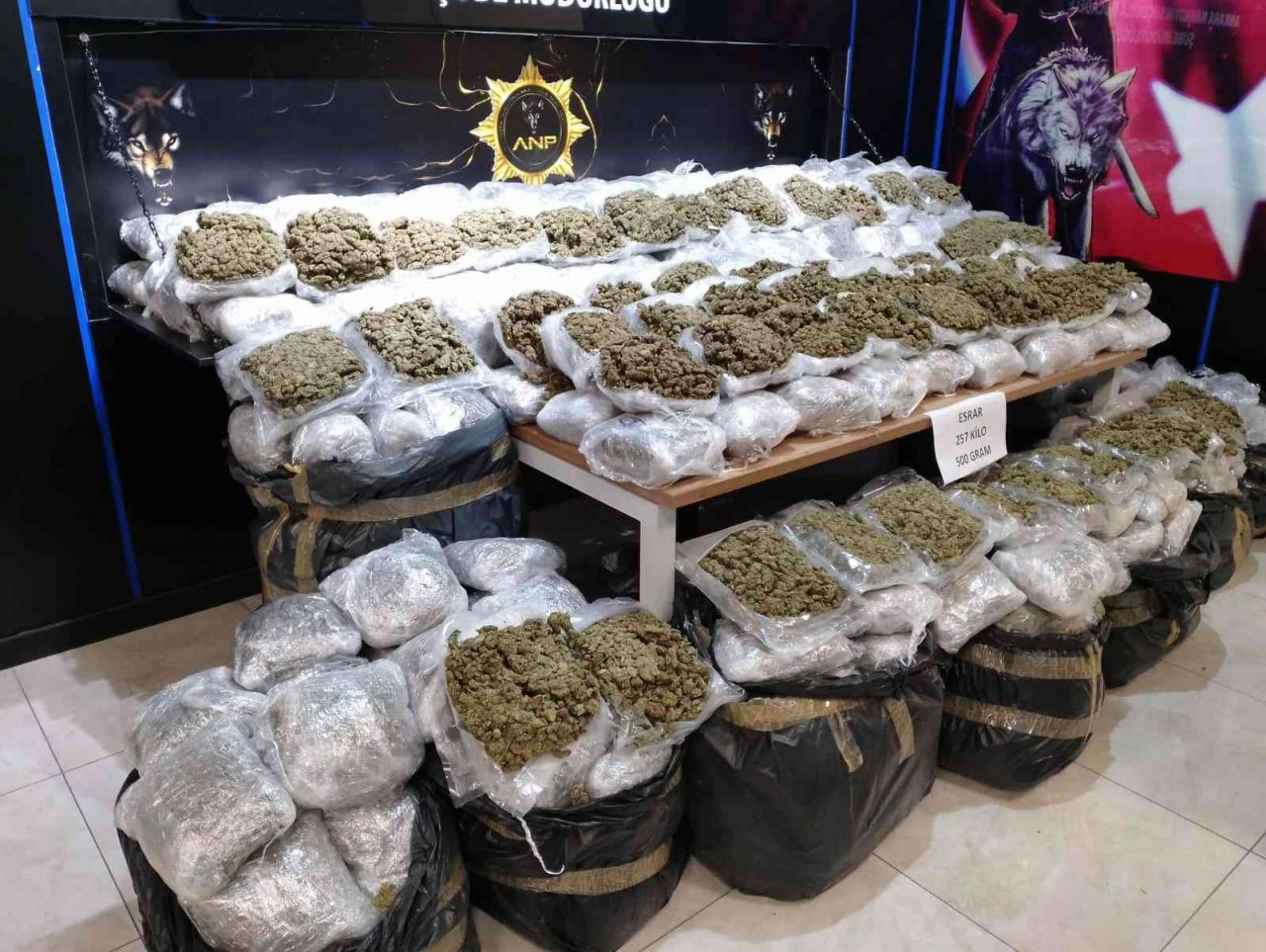 Başkent’te yapılan operasyonda 257 kilo 500 gram esrar ele geçirildi