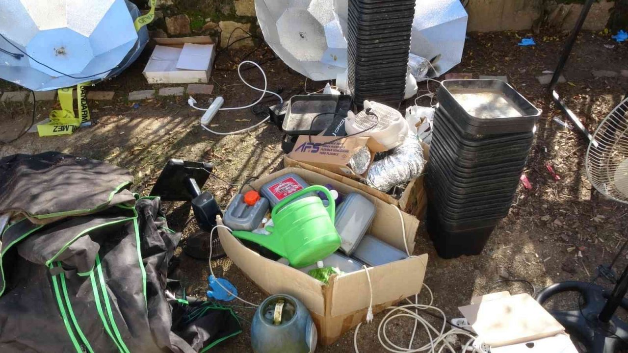 Şüpheli ölüme giden Jandarma, evde Skunk serasıyla karşılaştı