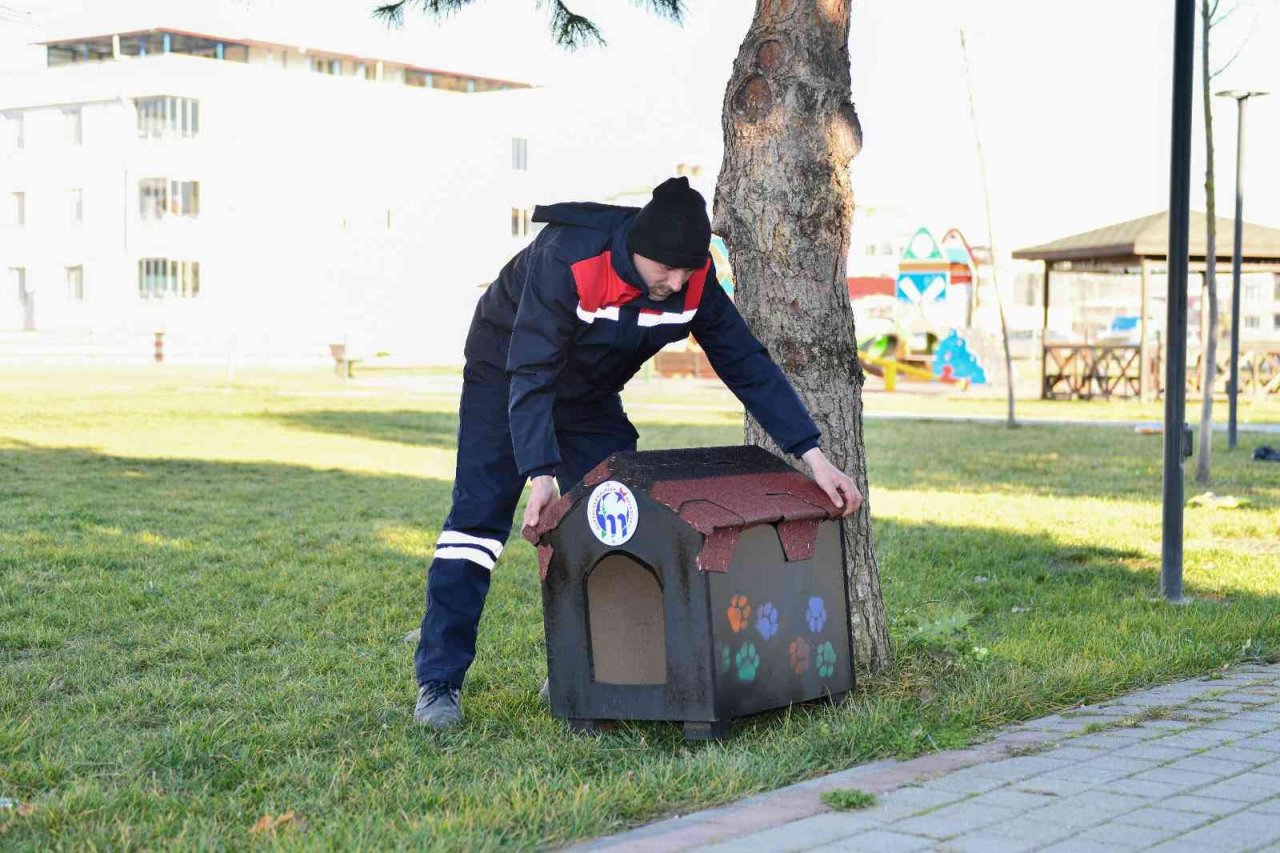 Mustafakemalpaşa Belediyesi’nden ‘Kedi Evi’ projesi