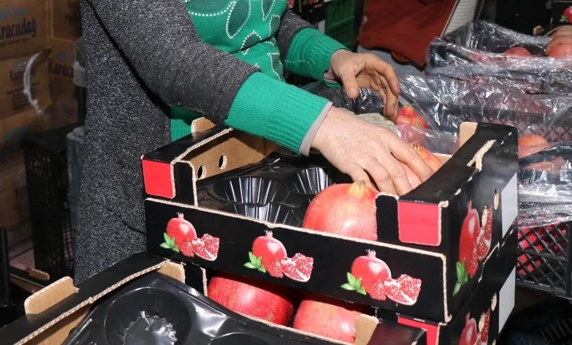 Bozova üretilen narlar Avrupa’ya ihraç ediliyor