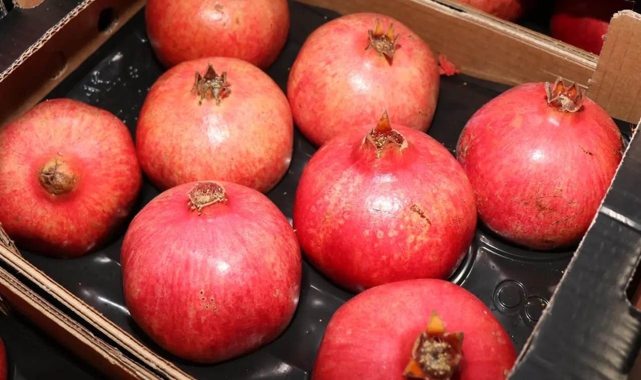 Bozova üretilen narlar Avrupa’ya ihraç ediliyor