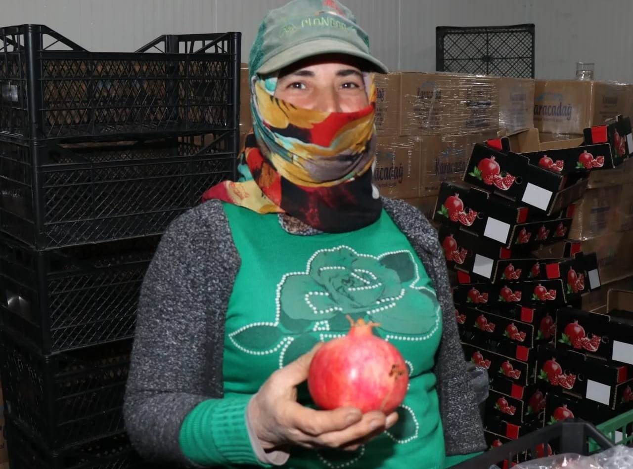 Bozova üretilen narlar Avrupa’ya ihraç ediliyor