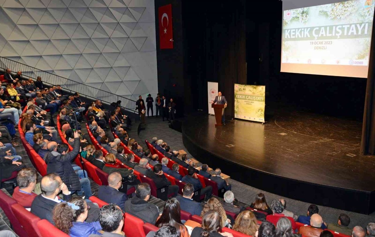 Türkiye’nin kekik deposu Denizli’de sektörün geleceği konuşuldu