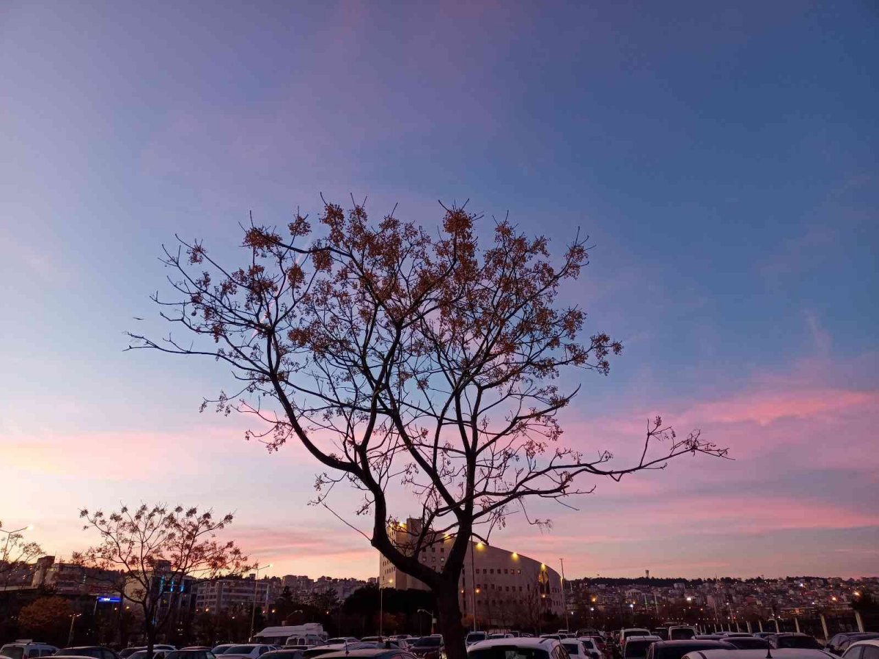 Samsun’da 22 yıllık sıcaklık rekoru yenilendi: 24,2 derece