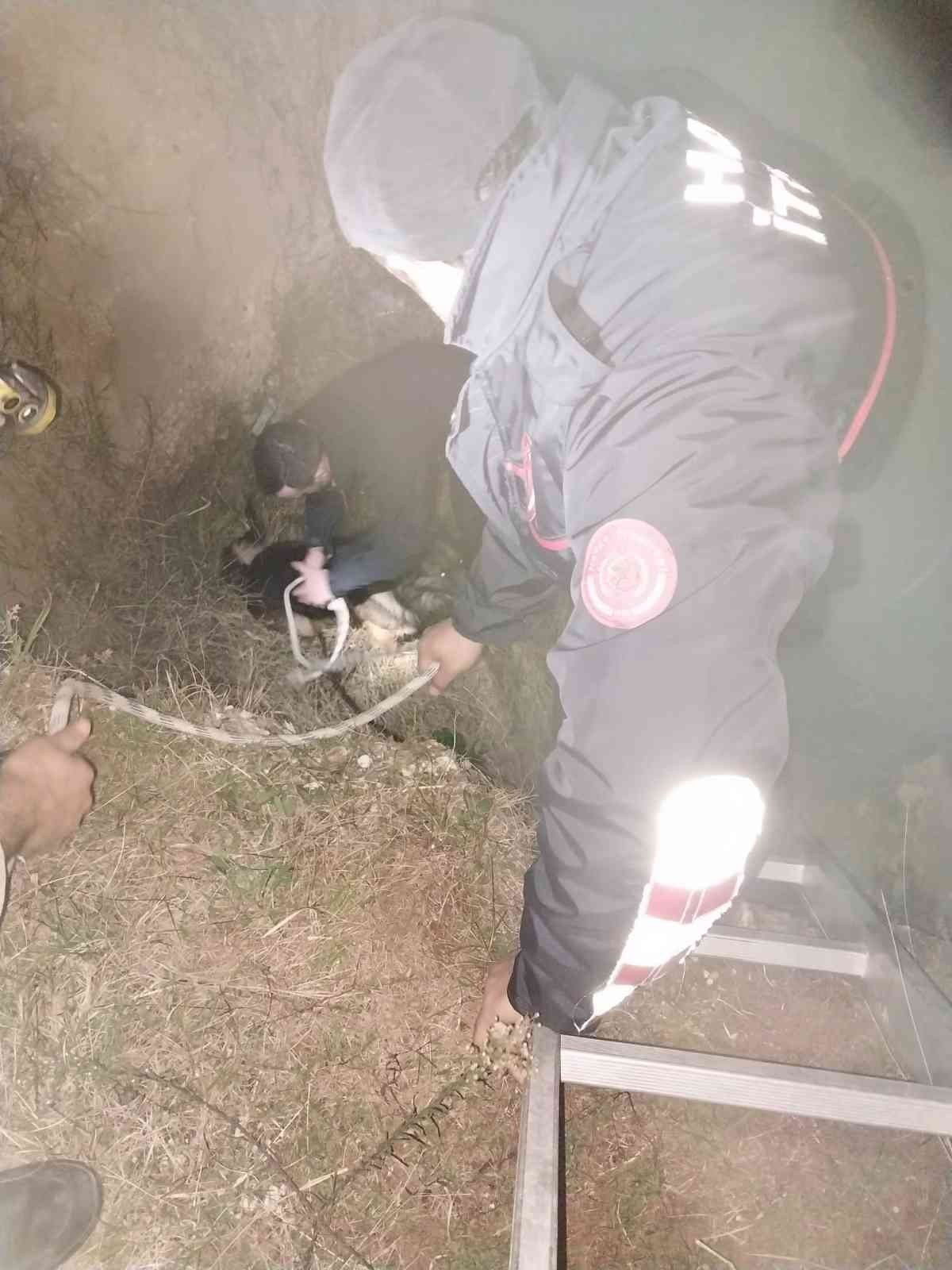 Çukura düşün köpek itfaiye tarafından kurtarıldı