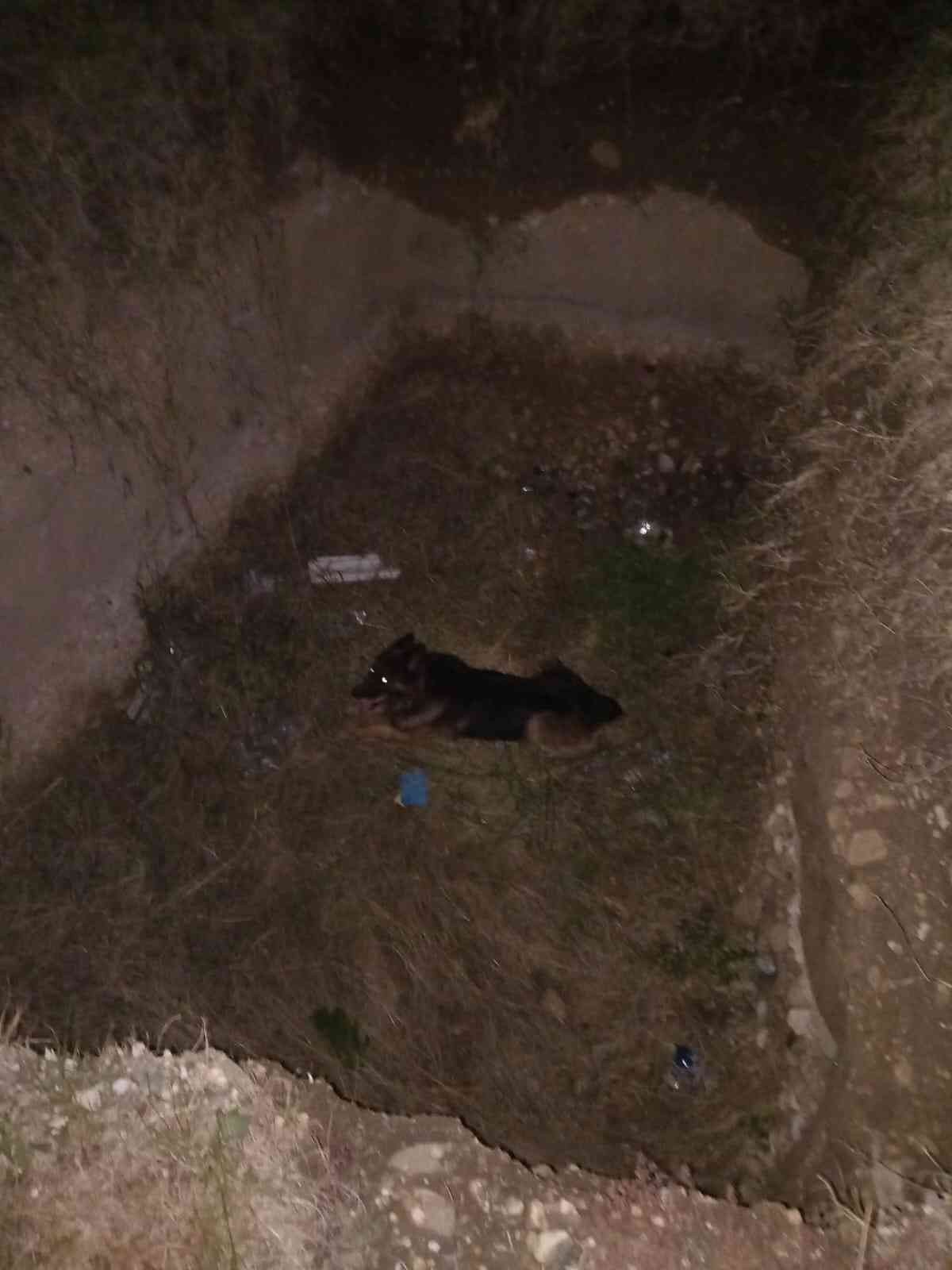 Çukura düşün köpek itfaiye tarafından kurtarıldı