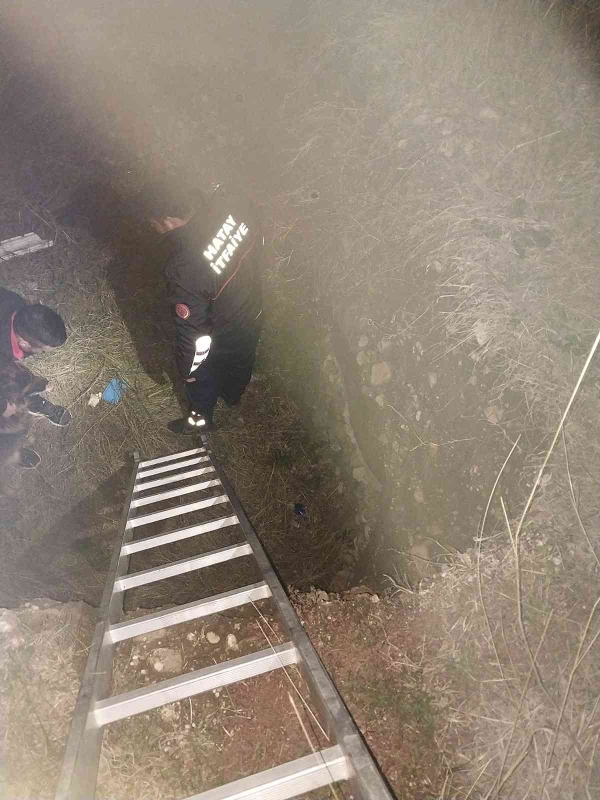 Çukura düşün köpek itfaiye tarafından kurtarıldı