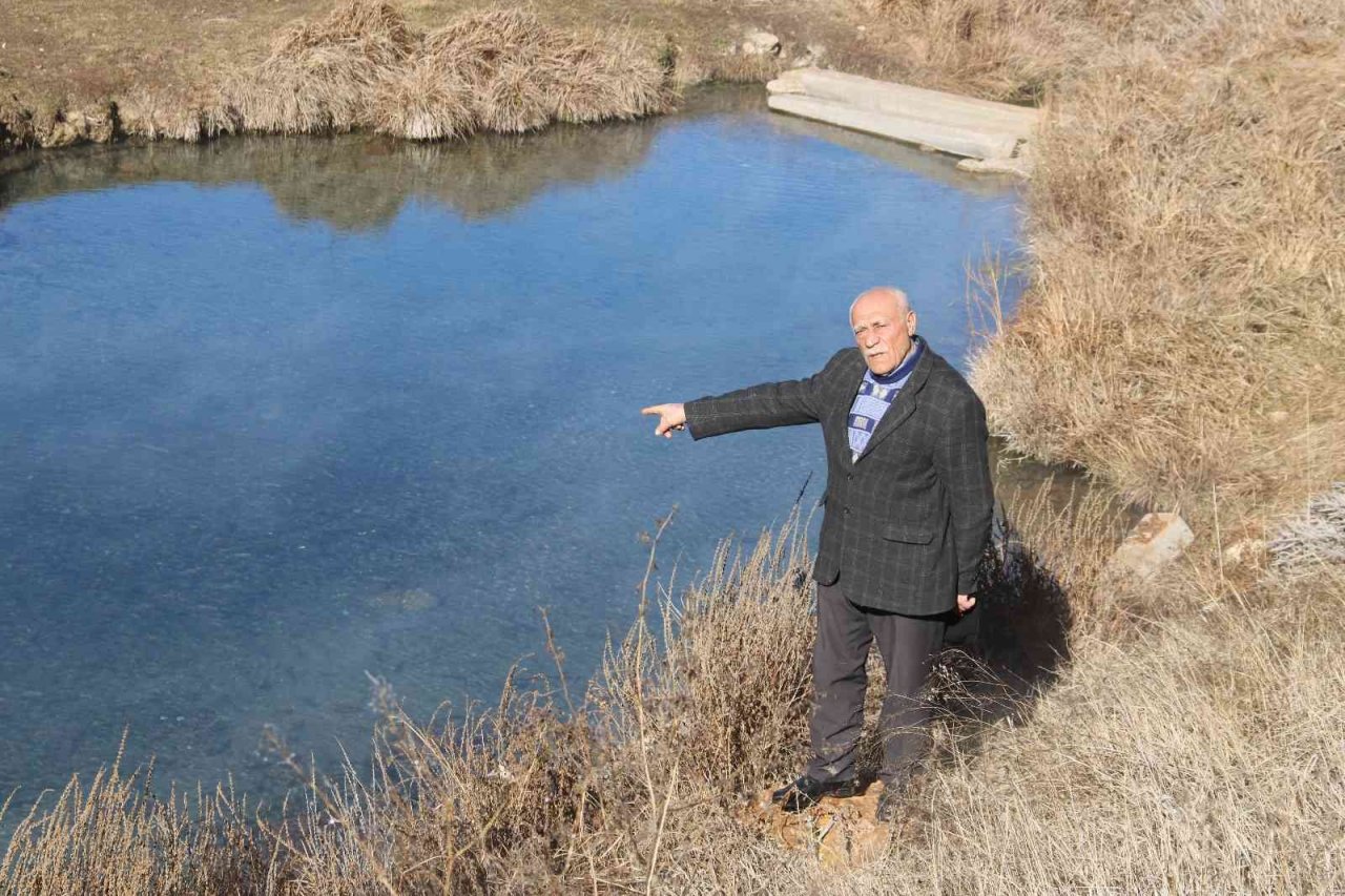 Dünyaca ünlü doktor balıklar yok olma tehdidi altında