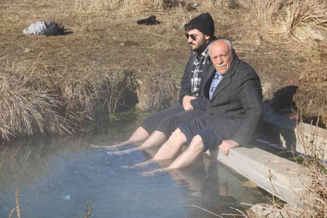 Dünyaca ünlü doktor balıklar yok olma tehdidi altında