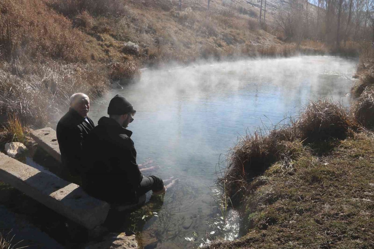 Dünyaca ünlü doktor balıklar yok olma tehdidi altında