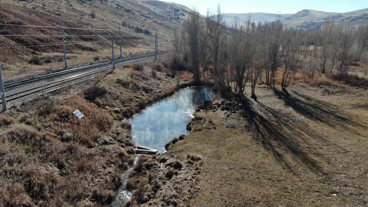 Dünyaca ünlü doktor balıklar yok olma tehdidi altında