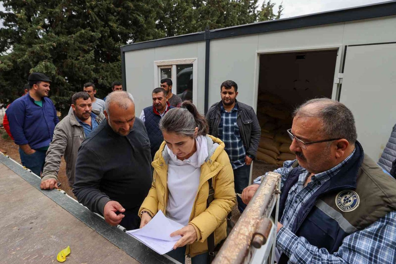 Buca’da günde 5 ton hasıl yem üretimi