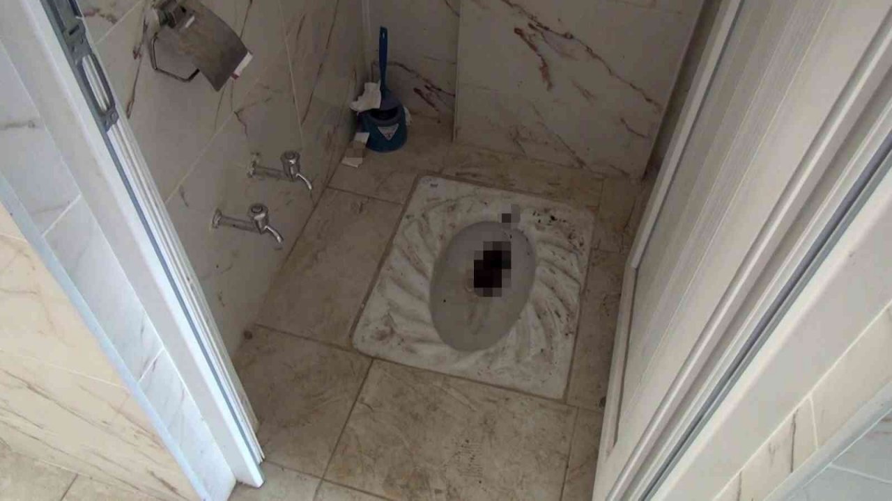 Mardinlilerden 8 milyon liraya restore edilen tarihi camideki avlunun ve tuvaletin pis haline tepki