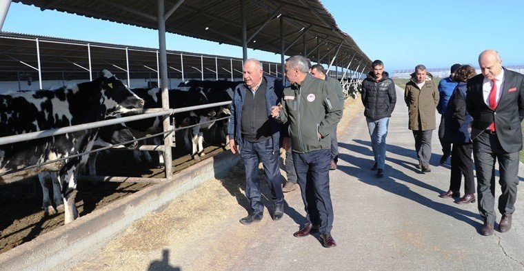 Samsun’da hayvancılığa 1,5 milyar TL’lik destek