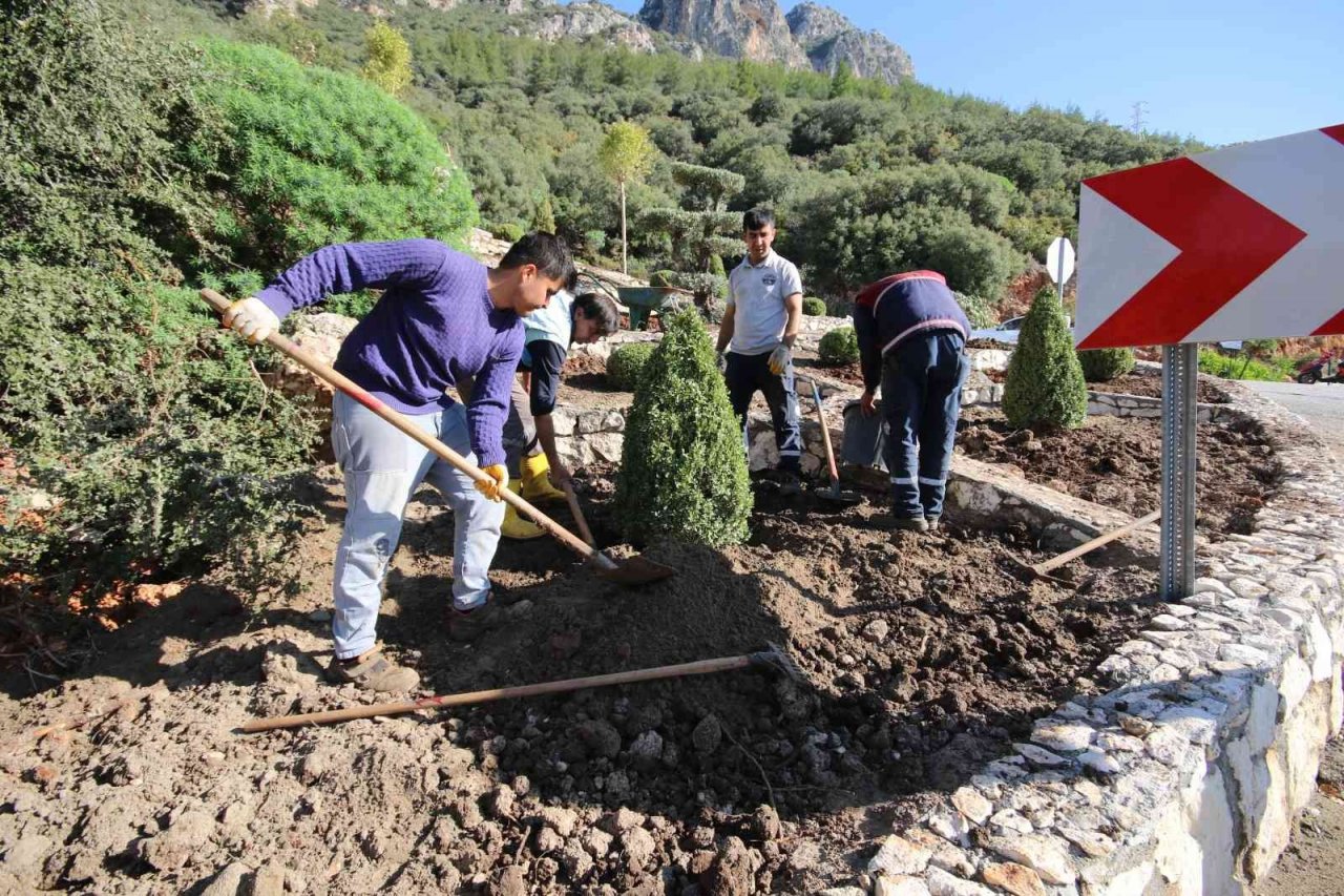 Kaş’ta peyzaj çalışmalarında 4 bin 625 bitki dikildi