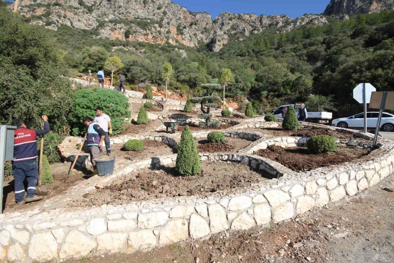 Kaş’ta peyzaj çalışmalarında 4 bin 625 bitki dikildi