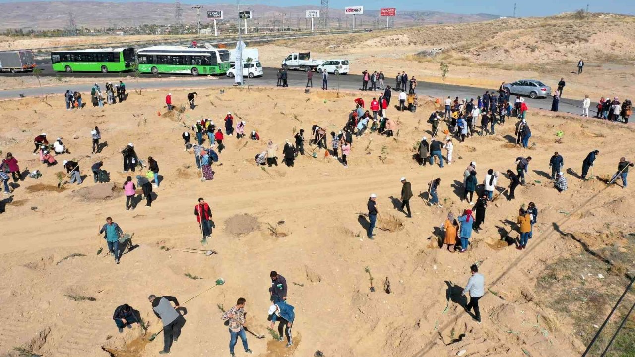 Başkan Büyükkılıç: “Daha yeşil ve daha yaşanabilir bir Kayseri için çalışıyoruz”