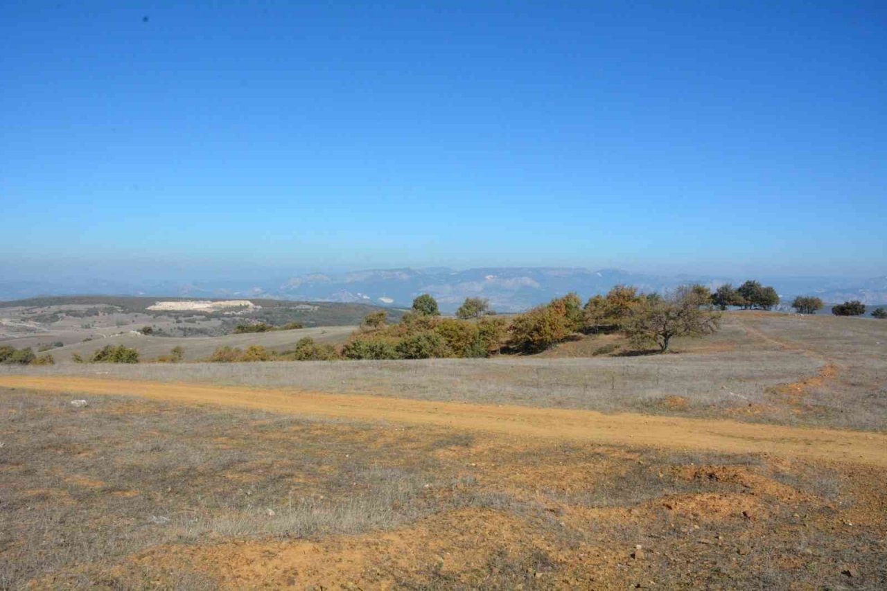 3.5 milyon onsluk altın varlığı tespit edilen altın madeni Cumhurbaşkanı’nı bekliyor