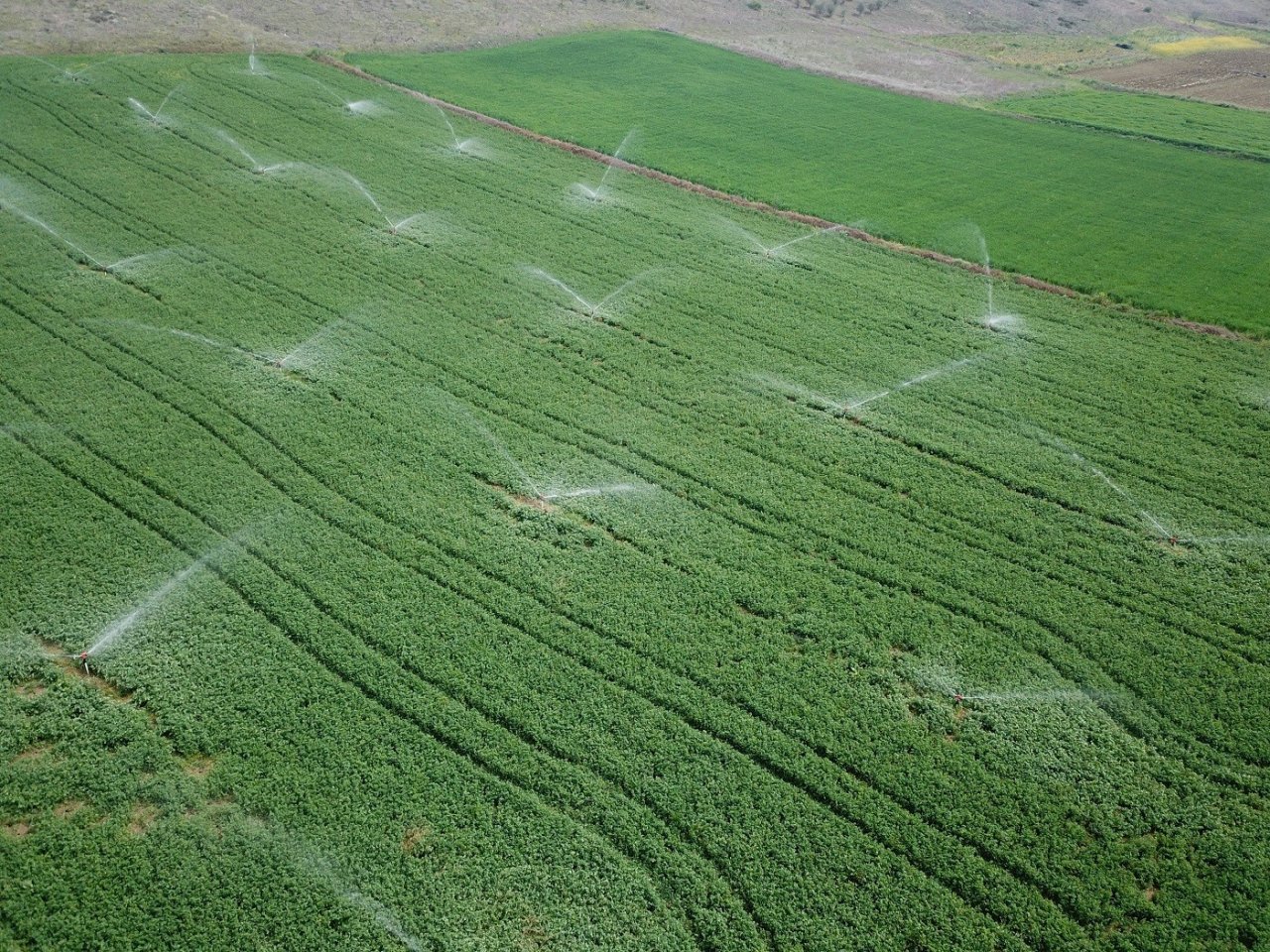 Son 20 yılda 75 tesis hayata geçti