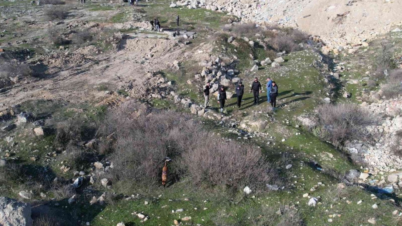 Kayıp Mine kadavra köpekleriyle aranıyor