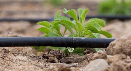 Bireysel sulama sistemlerine büyük hibe desteği