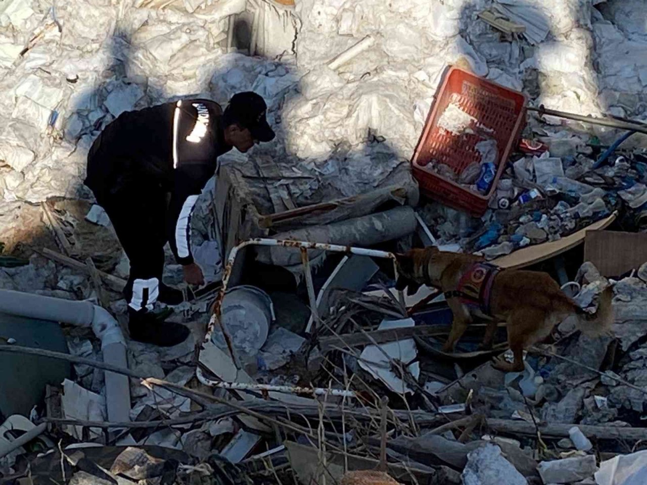 Kayıp Mine kadavra köpekleriyle aranıyor