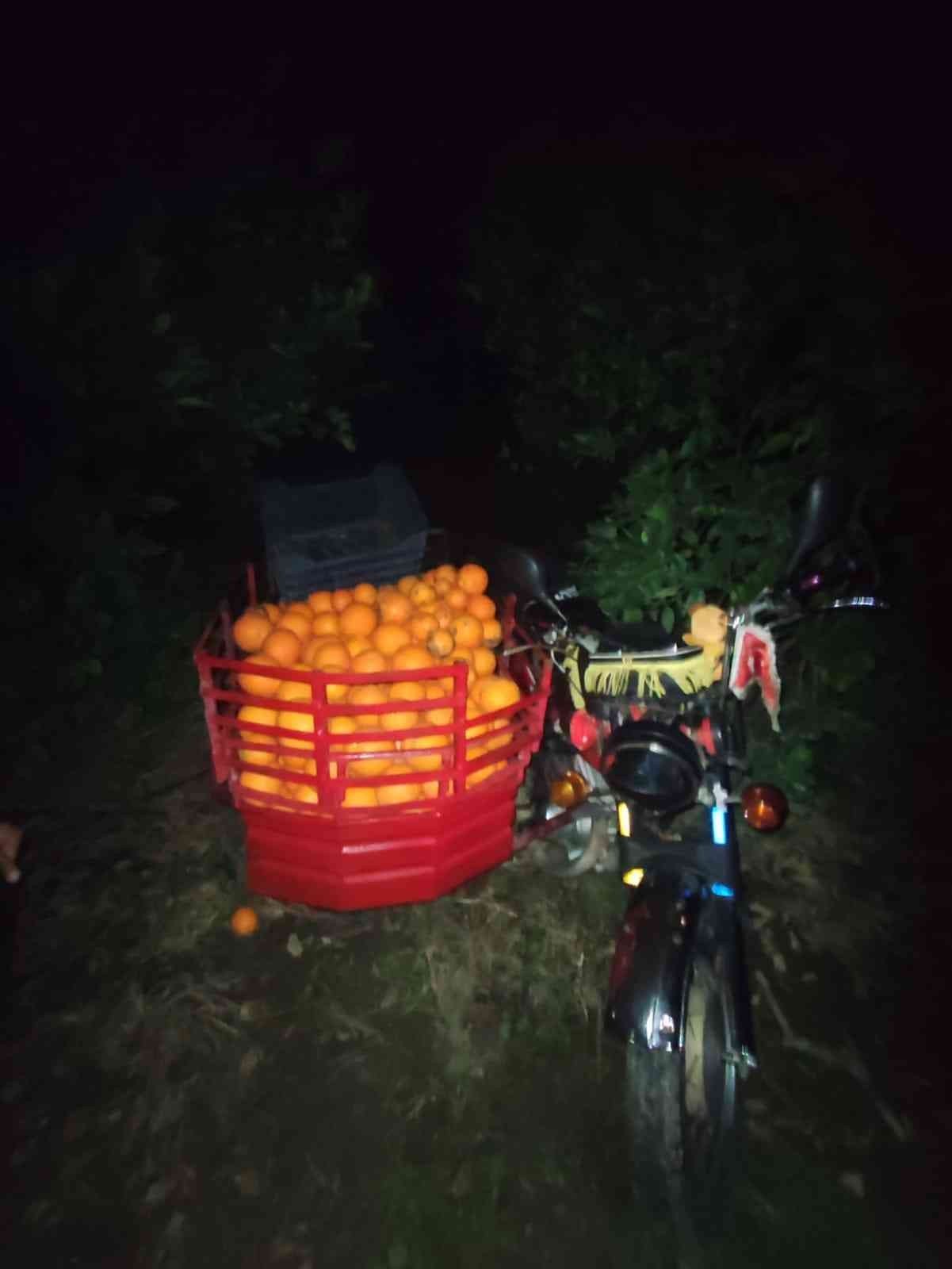 Yakalanacaklarını anlayınca narenciyelerle dolu araçlarını bırakıp kaçtılar