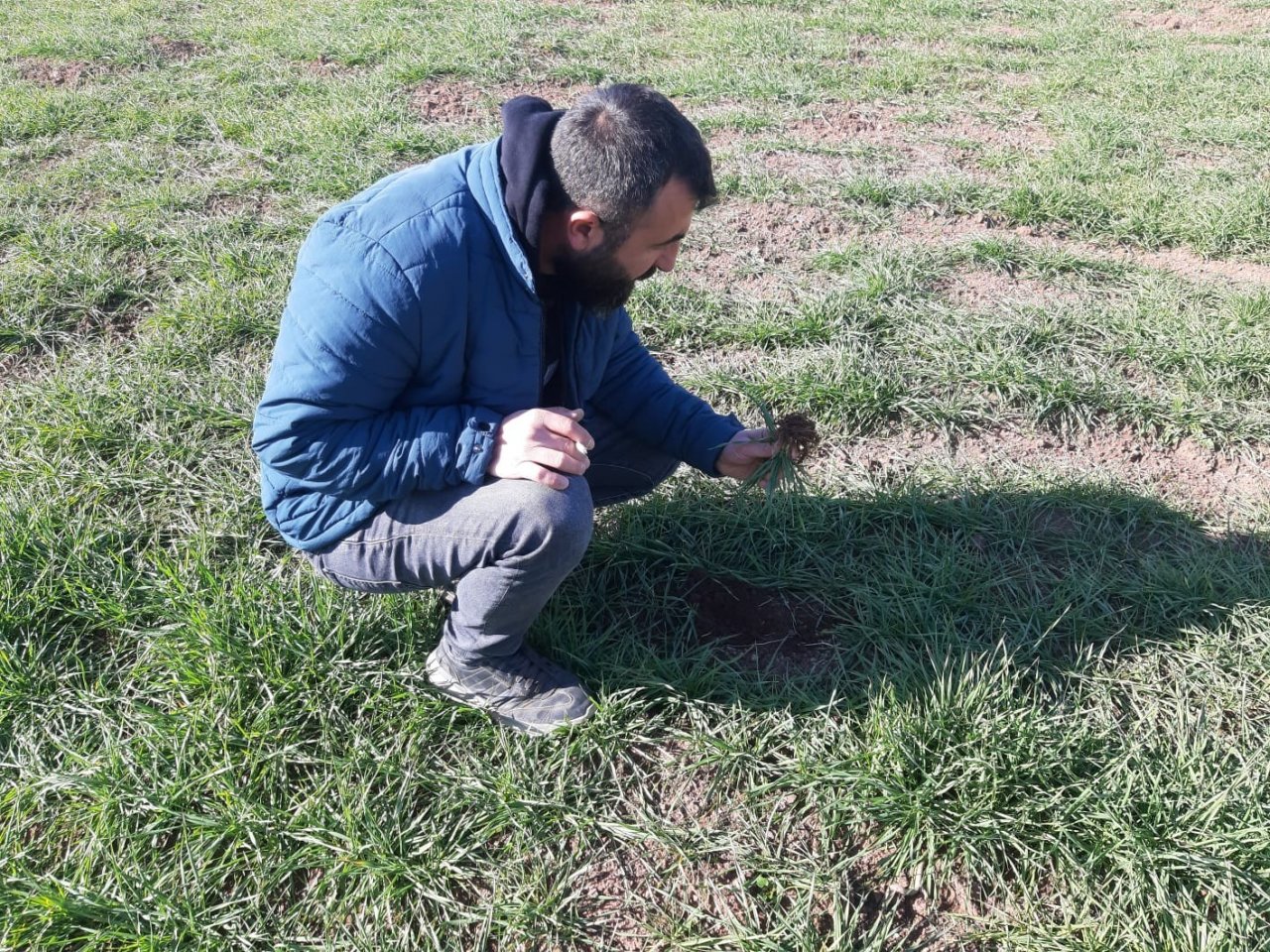 Gölbaşı’nda çiftçilerin kuraklık endişesi