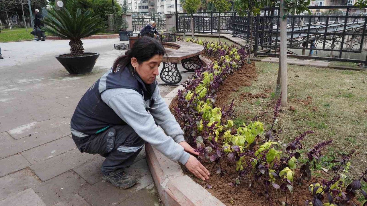 Akuaponik ve hidroponik seralarda üretilen fesleğenler şehri süsledi
