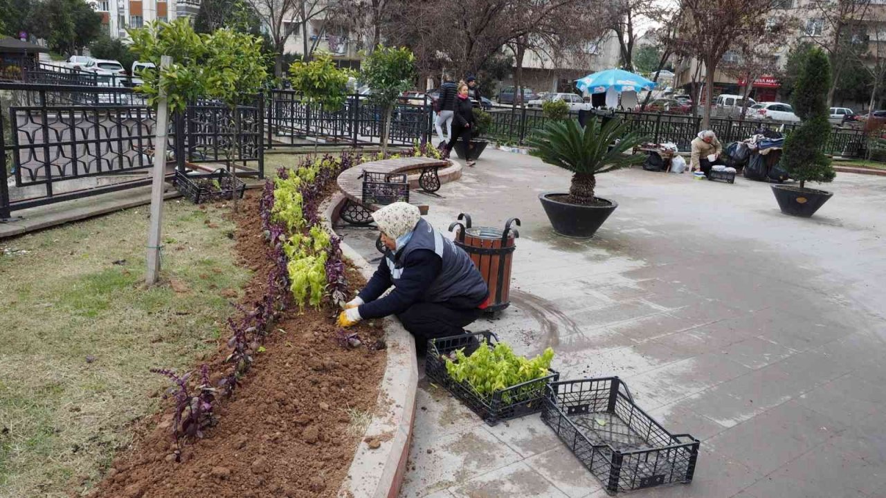 Akuaponik ve hidroponik seralarda üretilen fesleğenler şehri süsledi