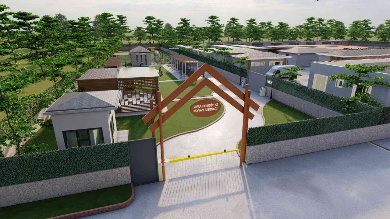 Bafra’ya 11 bin metrekarelik sokak hayvanları bakım merkezi