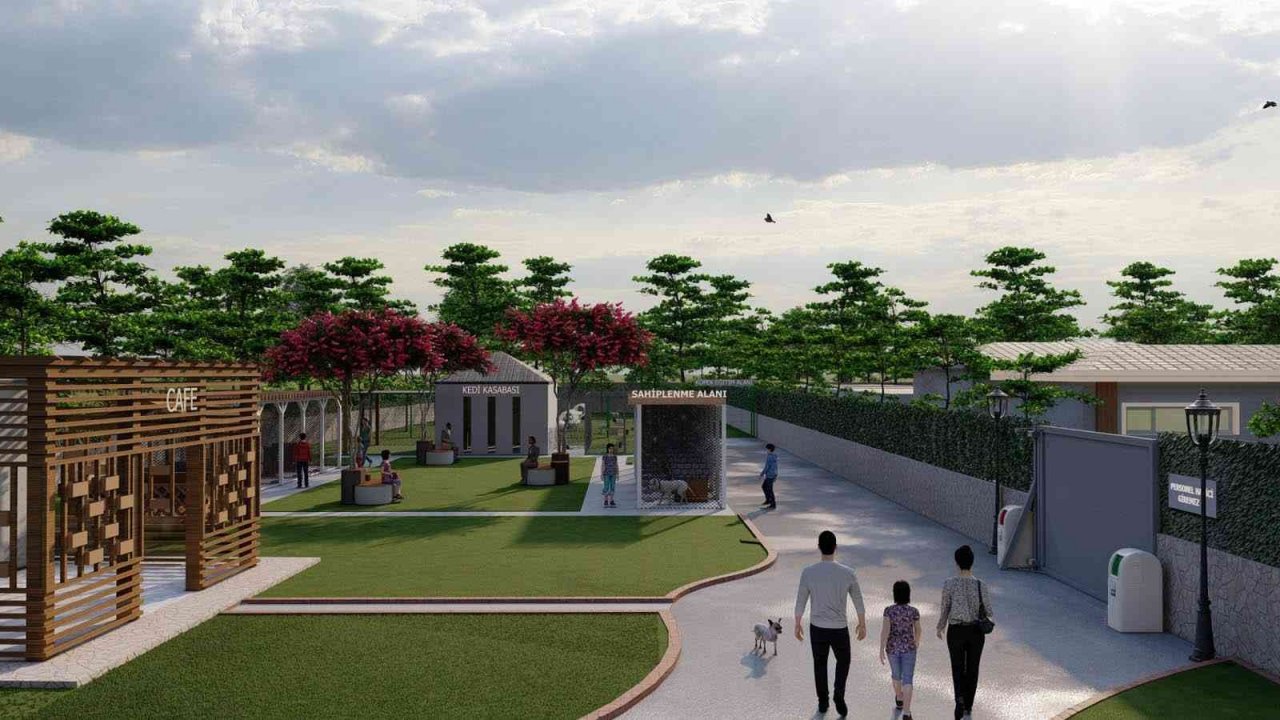 Bafra’ya 11 bin metrekarelik sokak hayvanları bakım merkezi