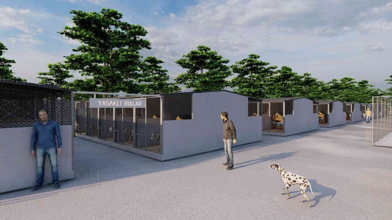 Bafra’ya 11 bin metrekarelik sokak hayvanları bakım merkezi