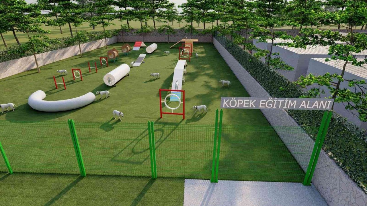 Bafra’ya 11 bin metrekarelik sokak hayvanları bakım merkezi