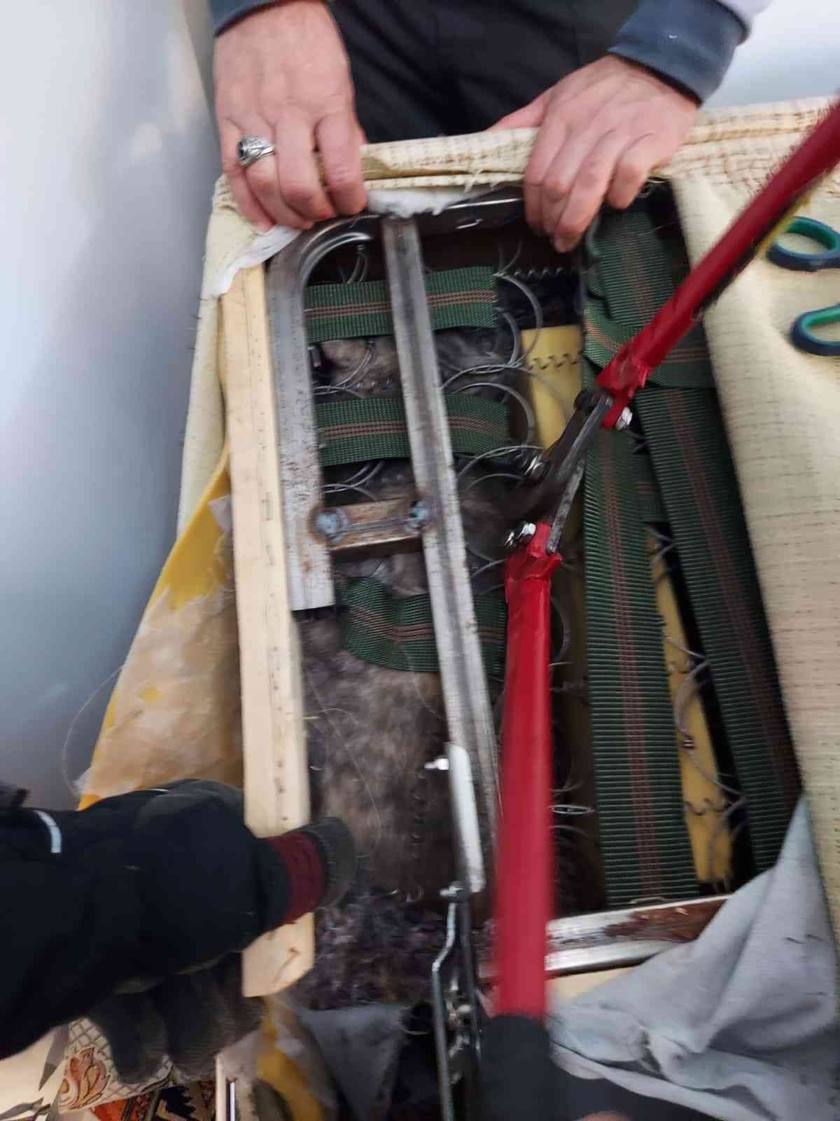 Yaramaz kedi itfaiyeyi seferber etti