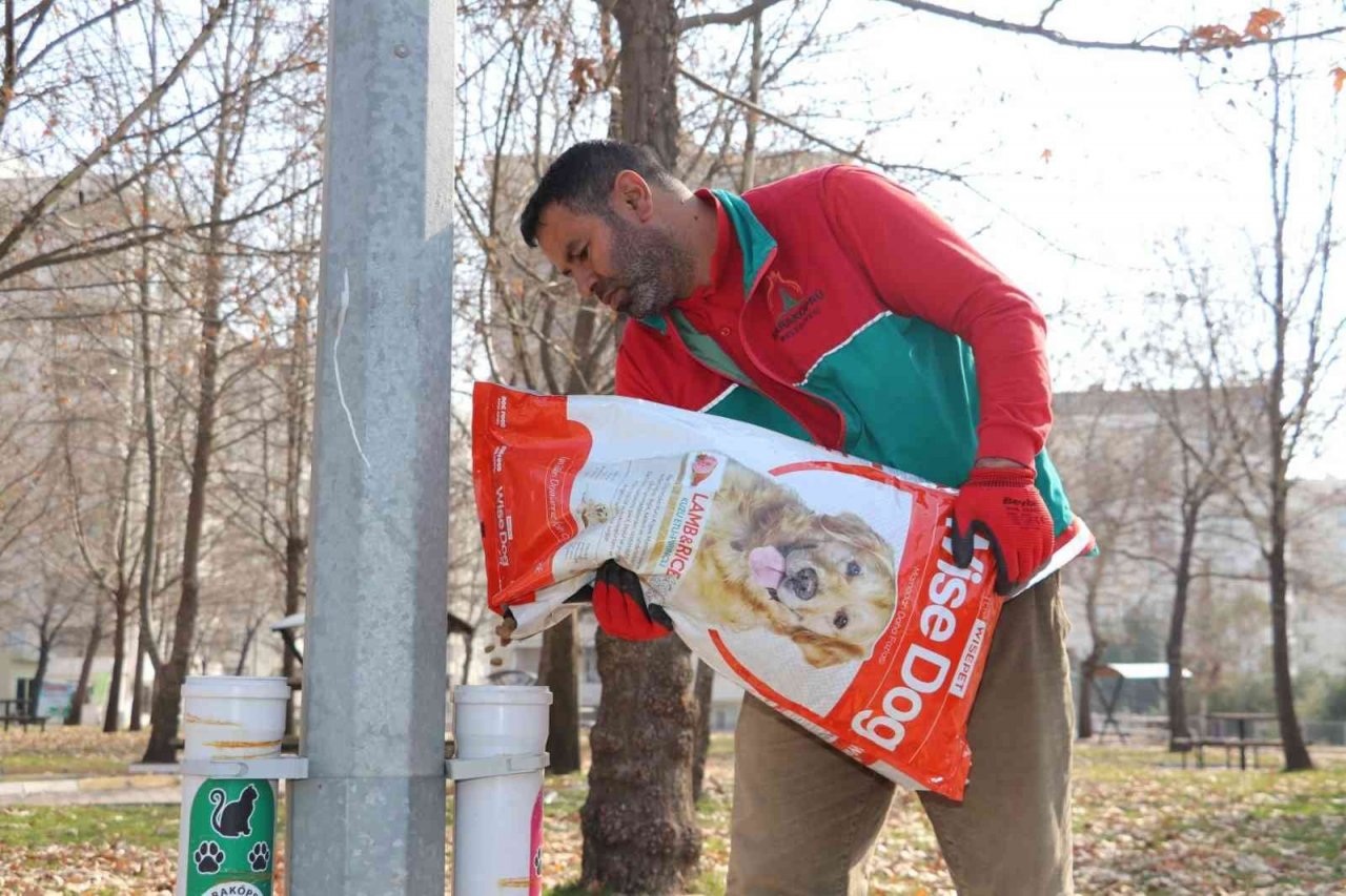 Karaköprü’de sokak hayvanları için dönüştürülmüş kaplar