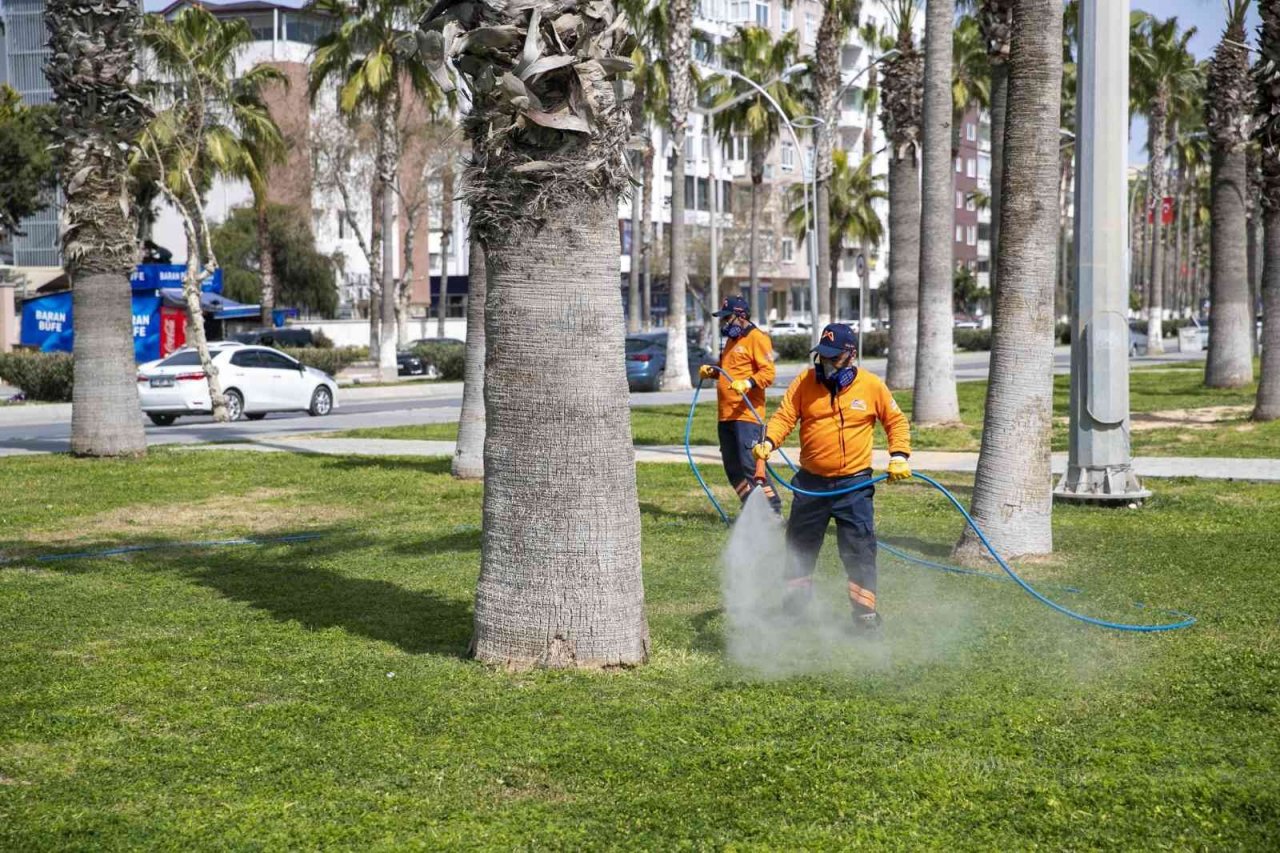 Çevre Koruma ve Kontrol Daire Başkanı Halisdemir:"Daha temiz ve daha yeşil bir Mersin için çalıştık"