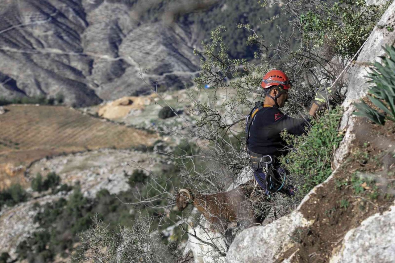 Mahsur kalan 3 keçiyi itfaiye kurtardı