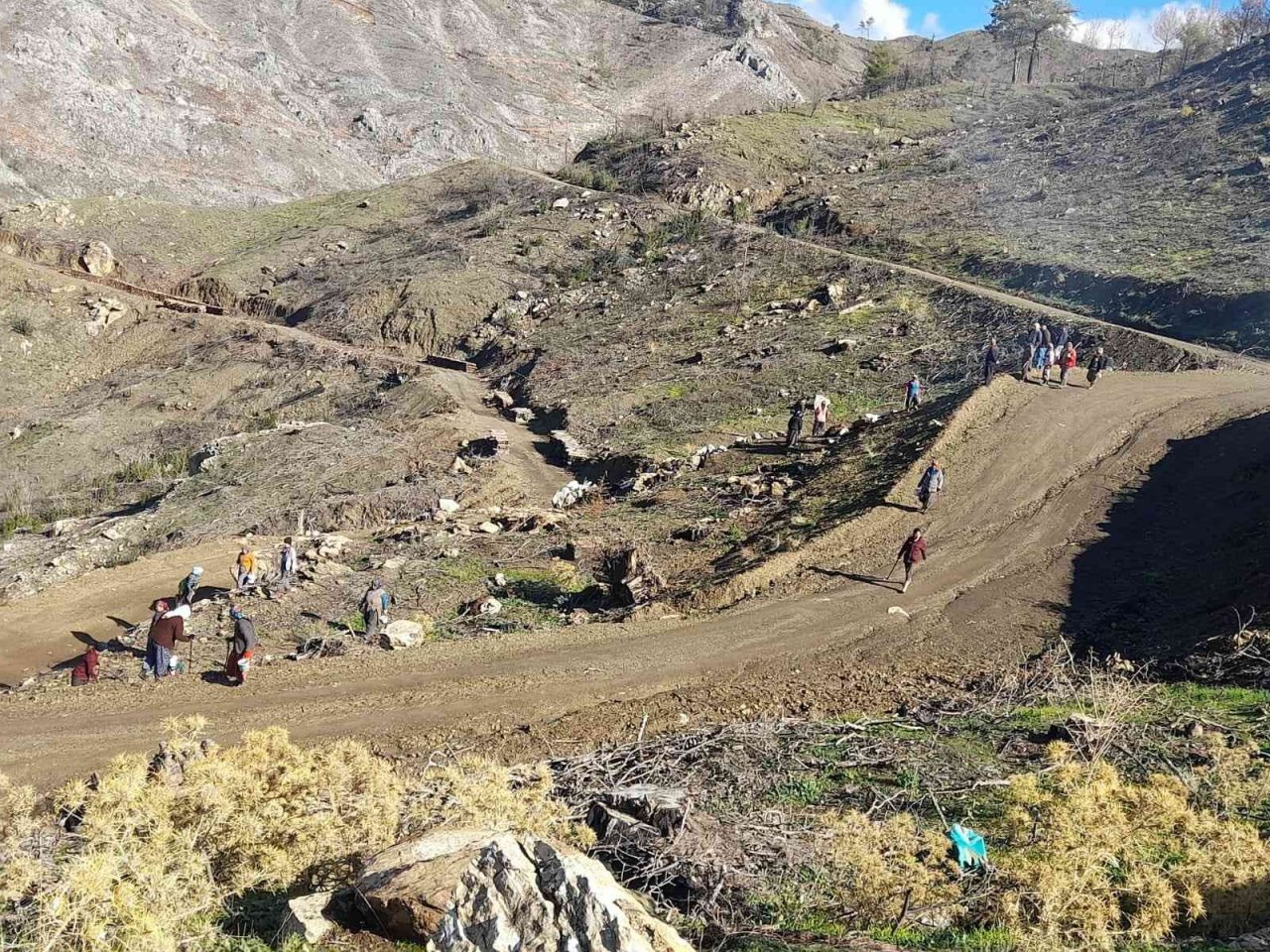 MHP Köyceğiz İlçe Teşkilatı Kızılçam Tohumu ekim faaliyetine katıldı