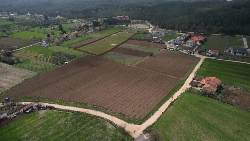 Büyükşehir’den tarım ve hayvancılığa destek