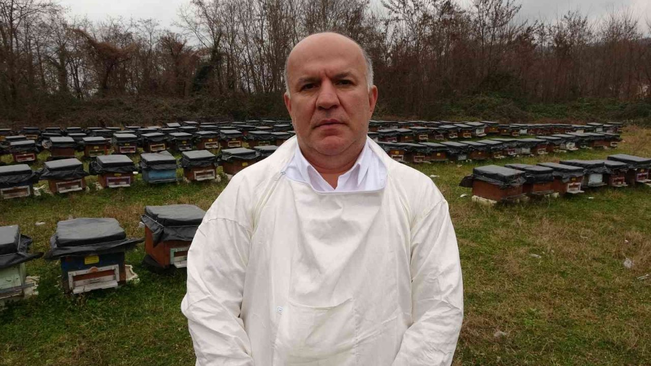 Küresel ısınma ’arıları’ da etkiledi: Uyuması gerekirken uçuyorlar