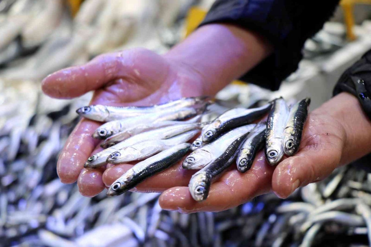 Havalar soğudu, balık tezgahları şenlendi