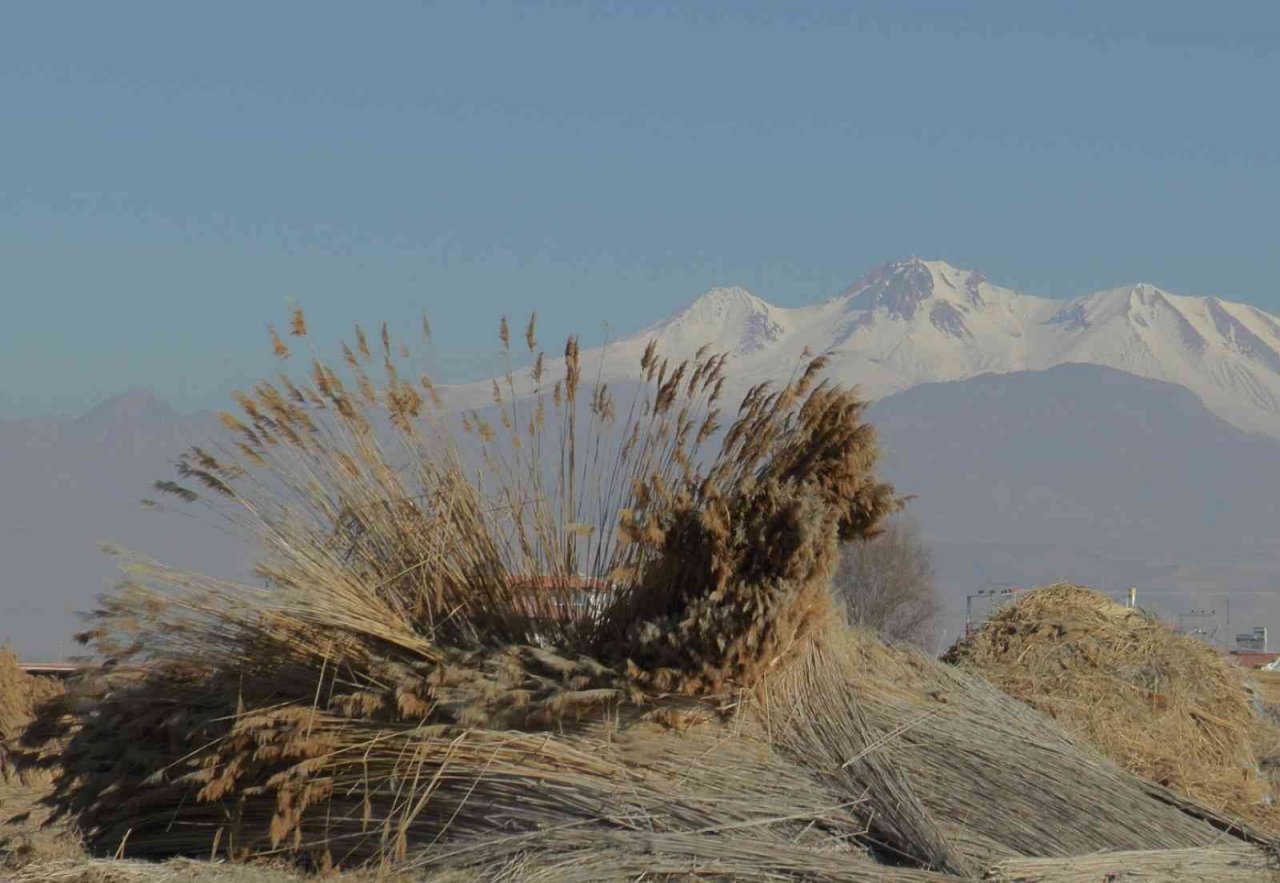 Gelmeyen kış kamışı da vurdu