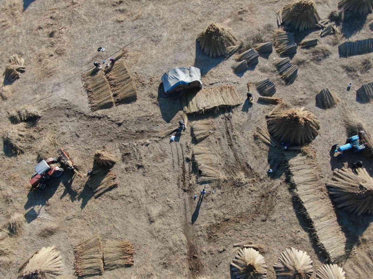 Gelmeyen kış kamışı da vurdu